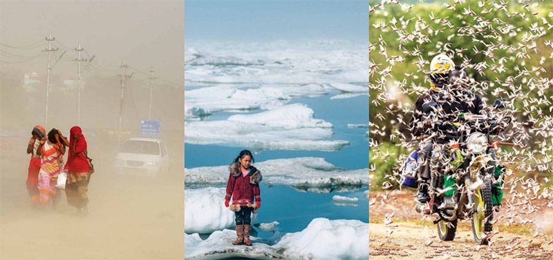 新型生物刺激素集成技術 -- 積極應對非生物脅迫對農業生產影響,助力糧食產量和農產品品質雙提升